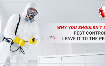 Why You Shouldn’t DIY Pest Control & Leave It To The Pros